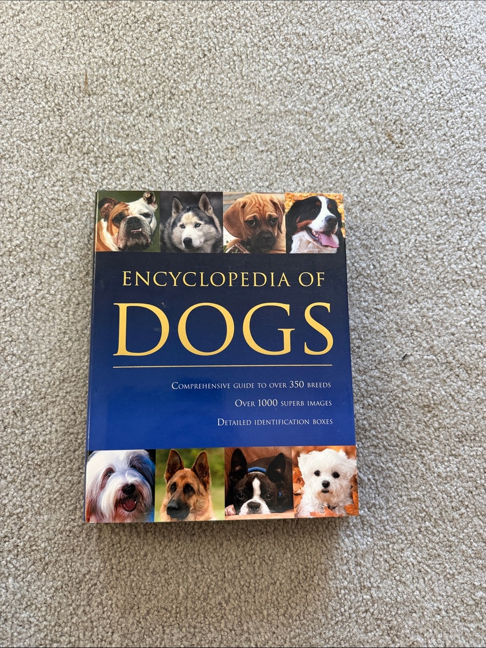 Encyclopedia of Dogs by David Alderton.
